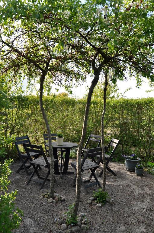 Kontakta Liselotte Abel Bed and Breakfast Vessigebro Eksteriør billede